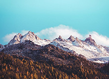 乐鱼体育平台-乒乓球亚洲杯男单小组赛 林诗栋完胜对手取得两连胜